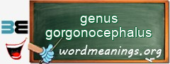 WordMeaning blackboard for genus gorgonocephalus